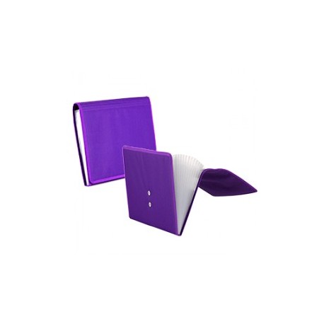 ARCHIVERO EXPANDIBLE OFFICE DEPOT CARTA 13 DIVISIO