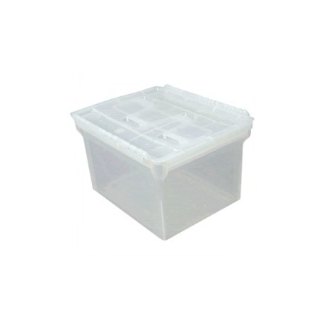 CAJA PARA ARCHIVO IRIS WING-LID T/CARTA-OFICIO