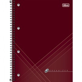 ORGANIZADOR EJECUTIVO ORGANIZE