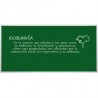PIZARRON VERDE METALICO ESCOLAR 60X90