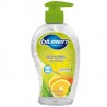 GEL ANTIBACTERIAL BLUMEN CITRUS 300ML