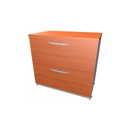 ARCHIVERO GCM HORIZONTAL 2 GAVETAS