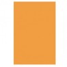 CARTULINA FLUORESCENTE NARANJA CON 5 ROYAL CAST
