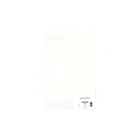 PAPEL BOND PARA PLOTER CON 10 PLIEGOS ROYAL CAST
